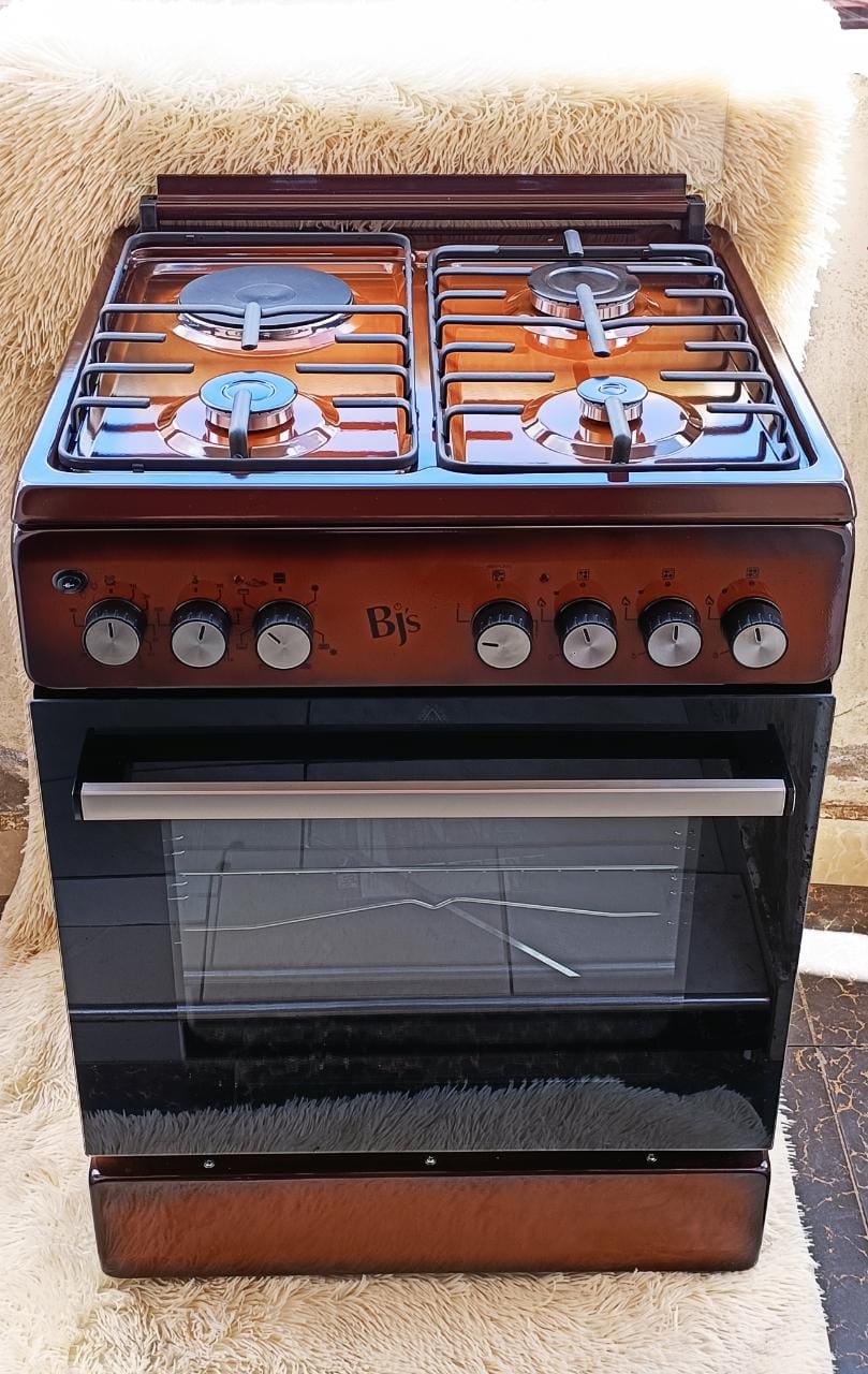 BJS 3Gas 1Electric Plate