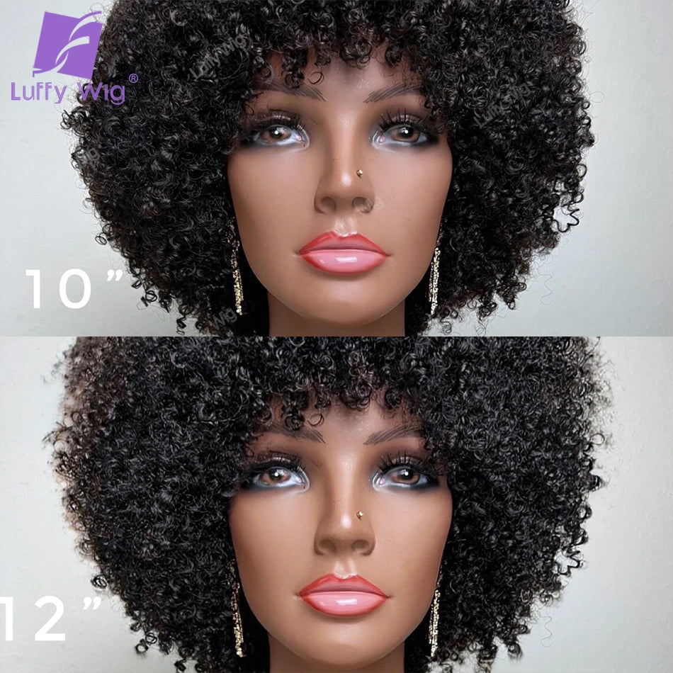 Short Pixie Cut Human Hair Wig With Bangs Brazilian Remy Afro Kinky Curly Bob Wig 180 Density Glueless For Black Women LuffY
