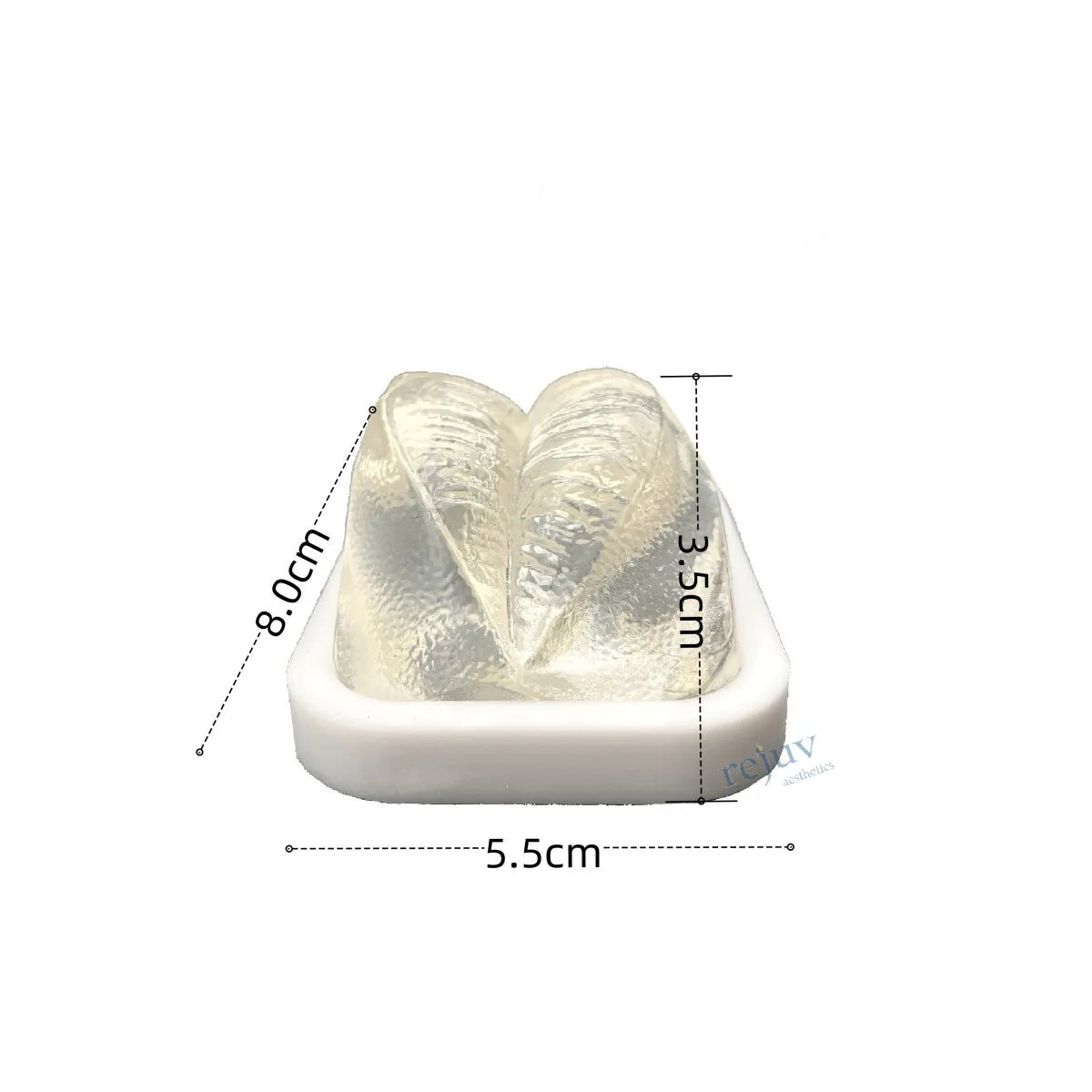 Transparent Lip Filler Injection Mannequin Tattoo Practice Lips Makeup Practice Realistic Stimulated Lip Model